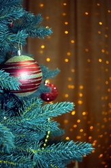 фотозона